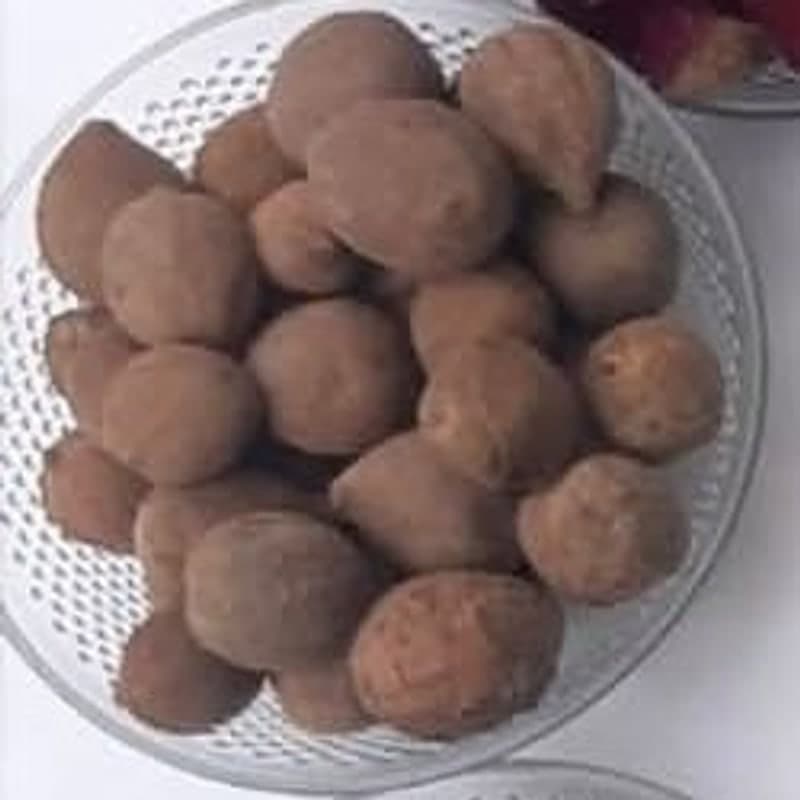 Emblic myrobalan (amla)